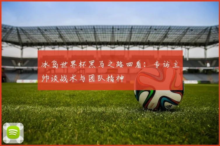 冰岛世界杯黑马之路回看：专访主帅谈战术与团队精神