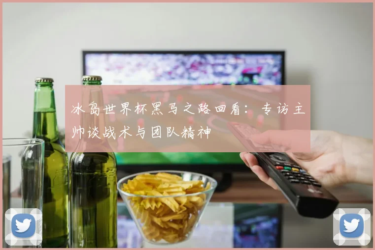 冰岛世界杯黑马之路回看：专访主帅谈战术与团队精神