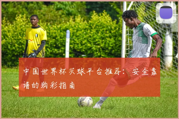 中国世界杯买球平台推荐：安全靠谱的购彩指南